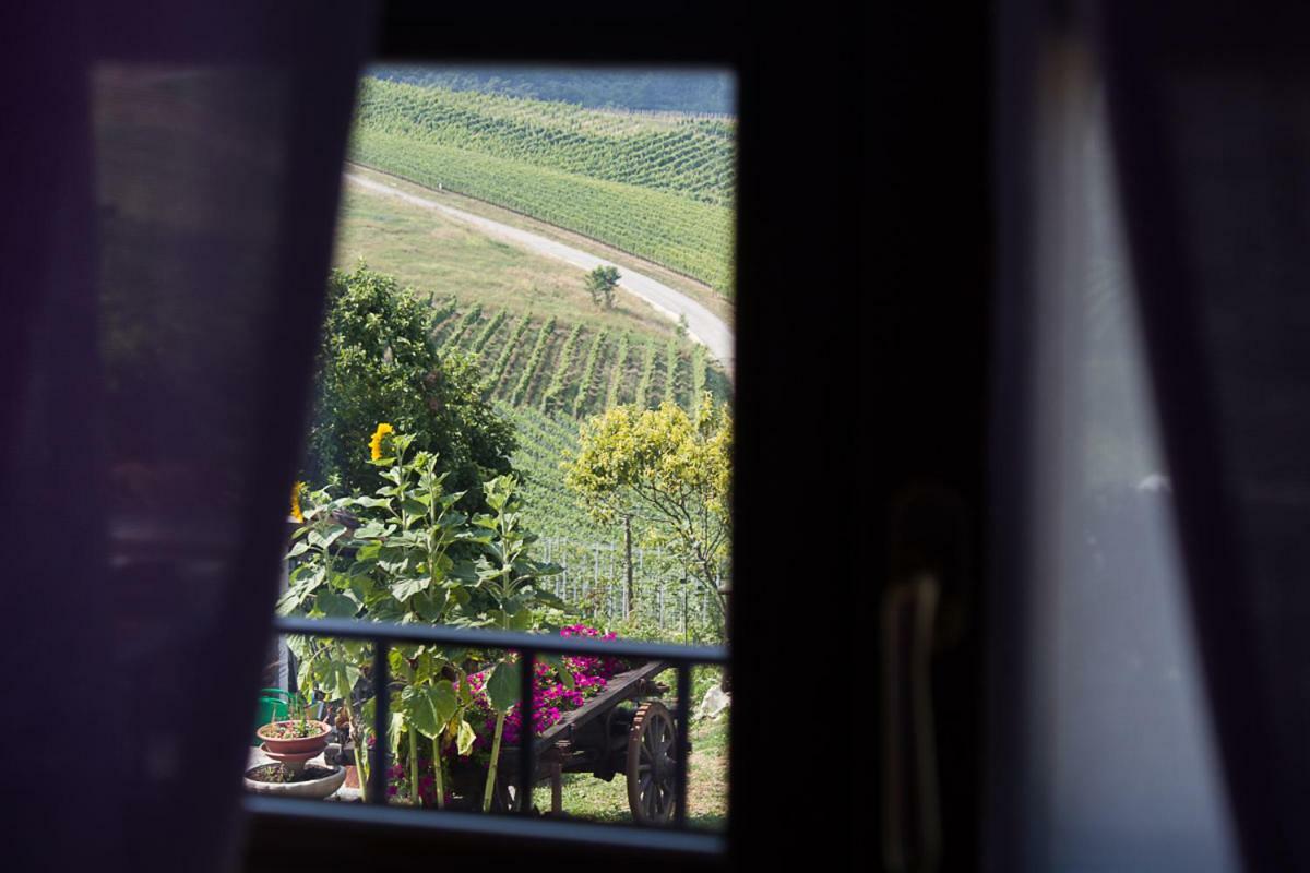 Agriturismo La Ca Veja Monforte dʼAlba Exterior foto